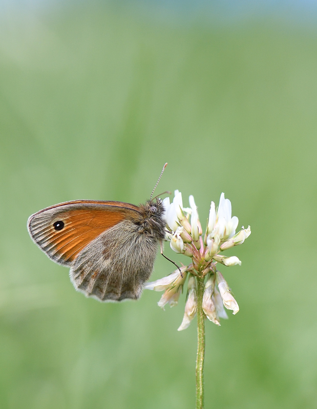 DS5_0701.jpg