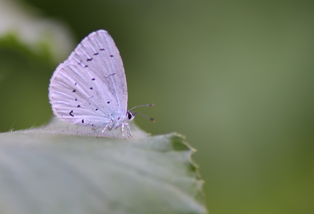 DS5_0713.jpg