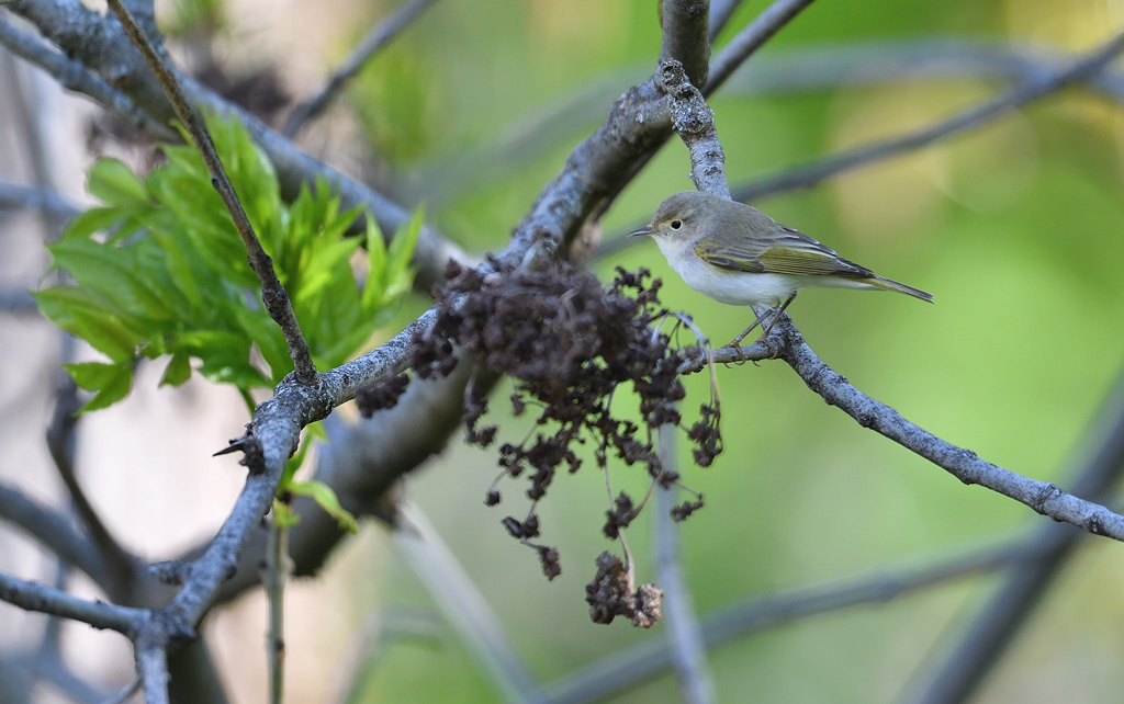 DS5_2569.jpg