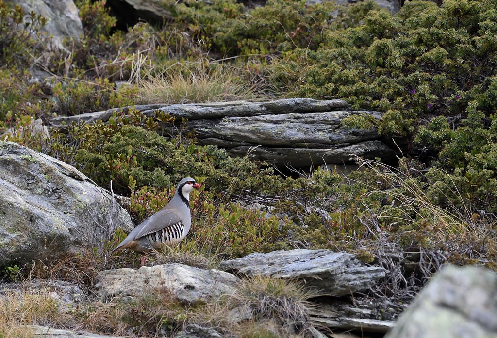 DS5_9898.jpg