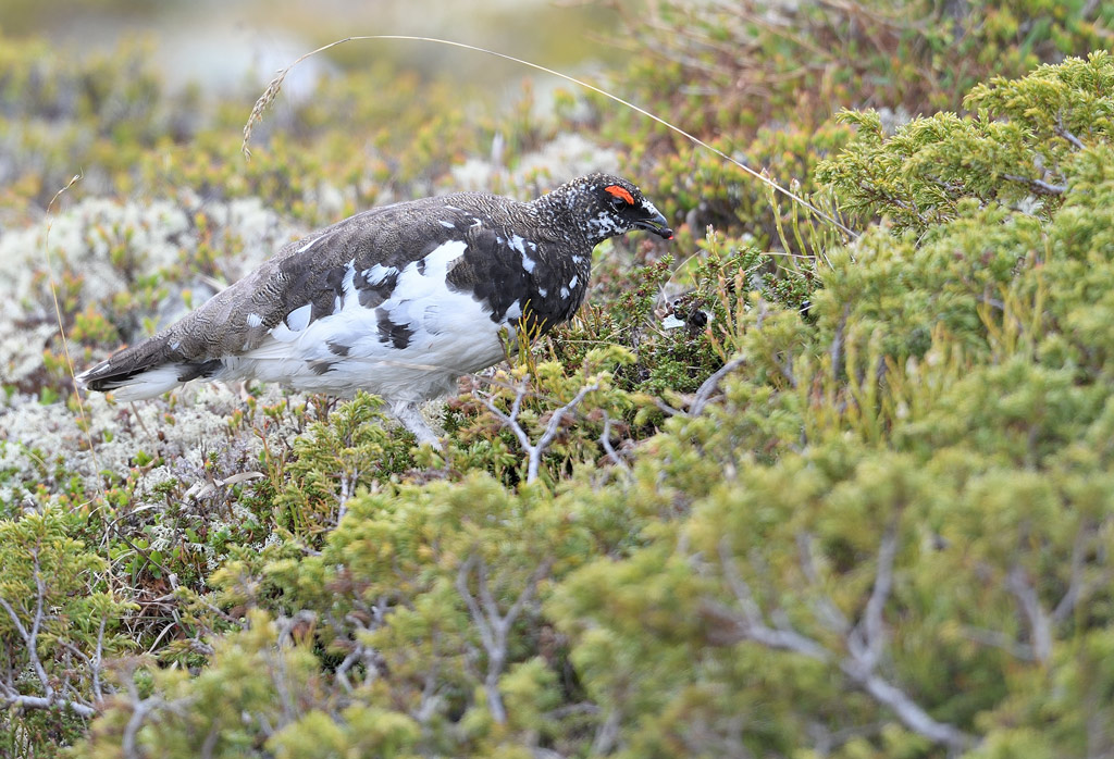 DS5_0439.jpg