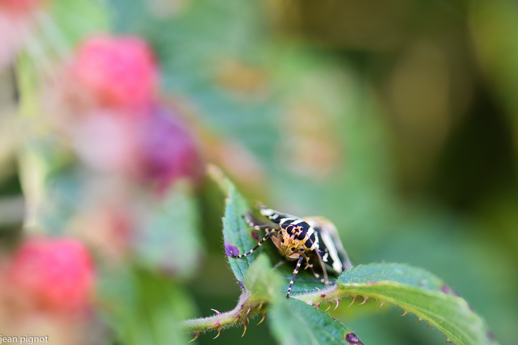14072022-DSC_7546.JPG