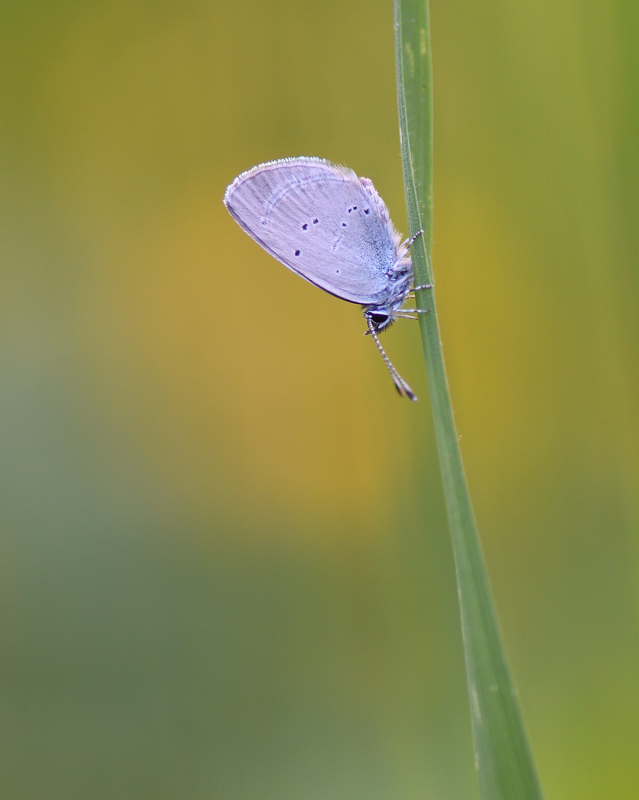 DS5_9826.jpg