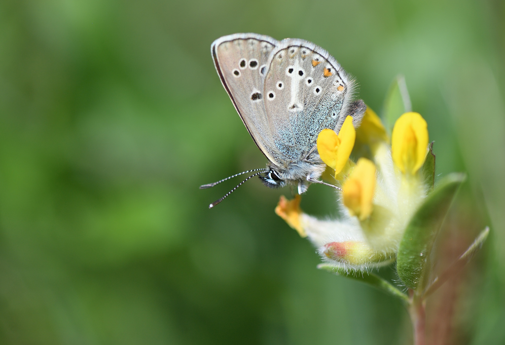 DS5_9870.jpg