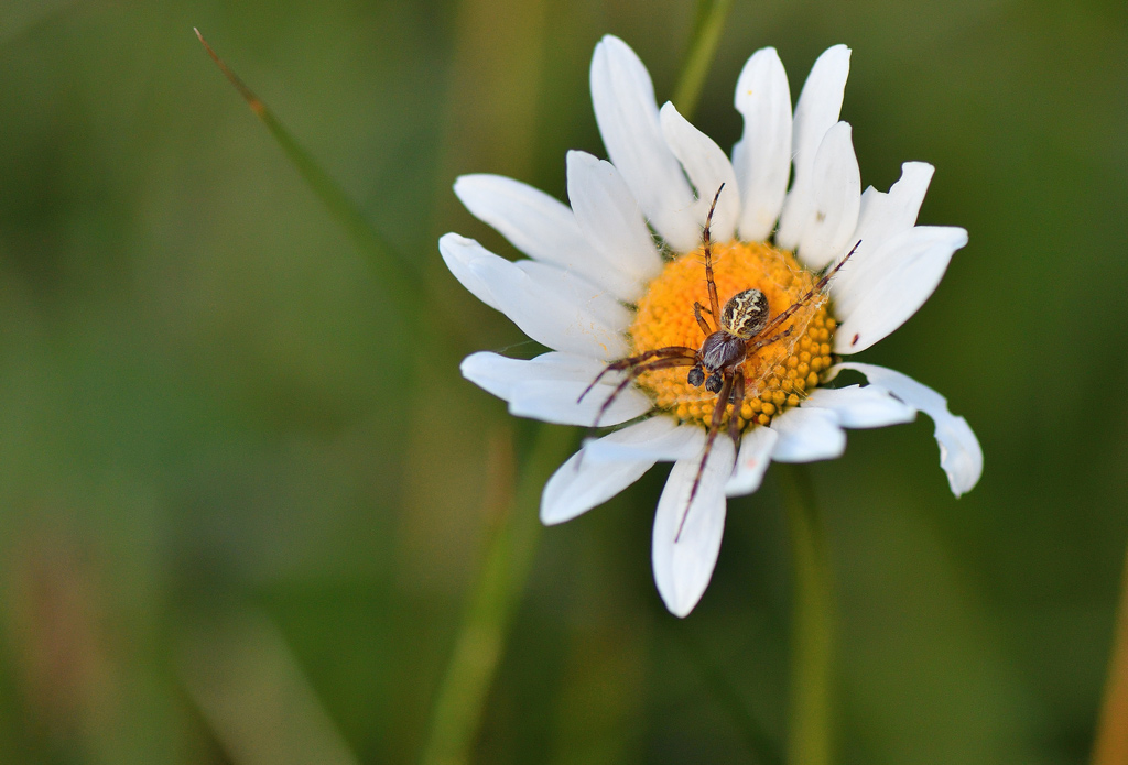 DSC_5047.jpg