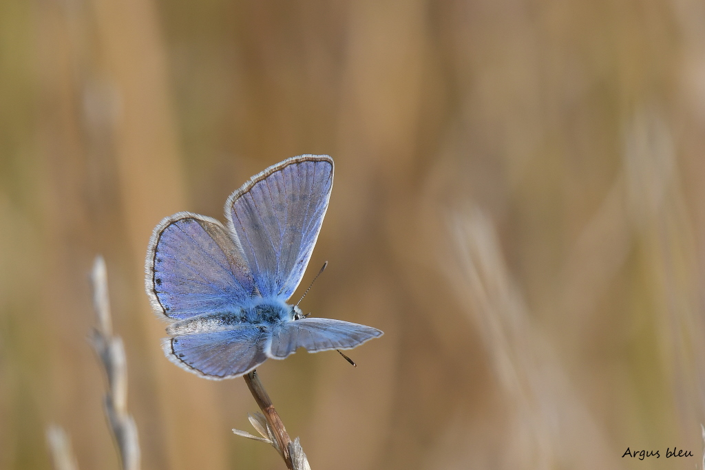 DSC_5683.JPG