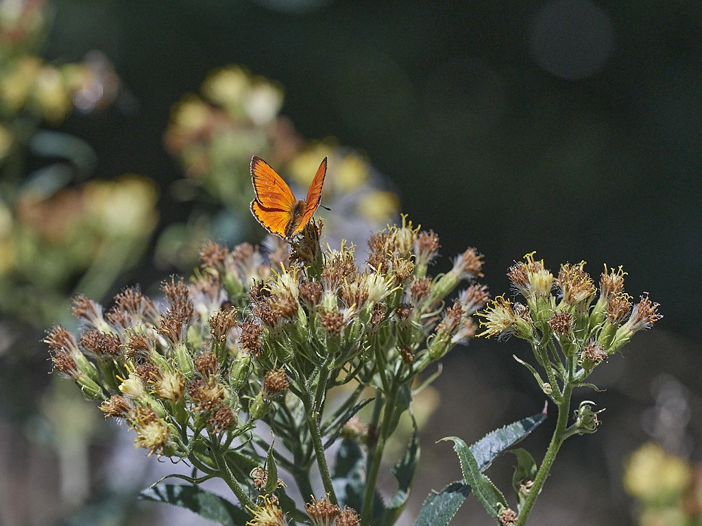 B 8407_1_06.jpg