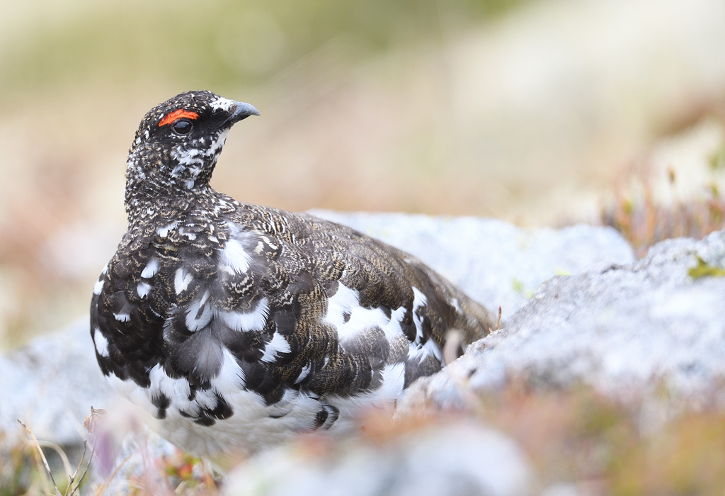 DS5_0511.jpg