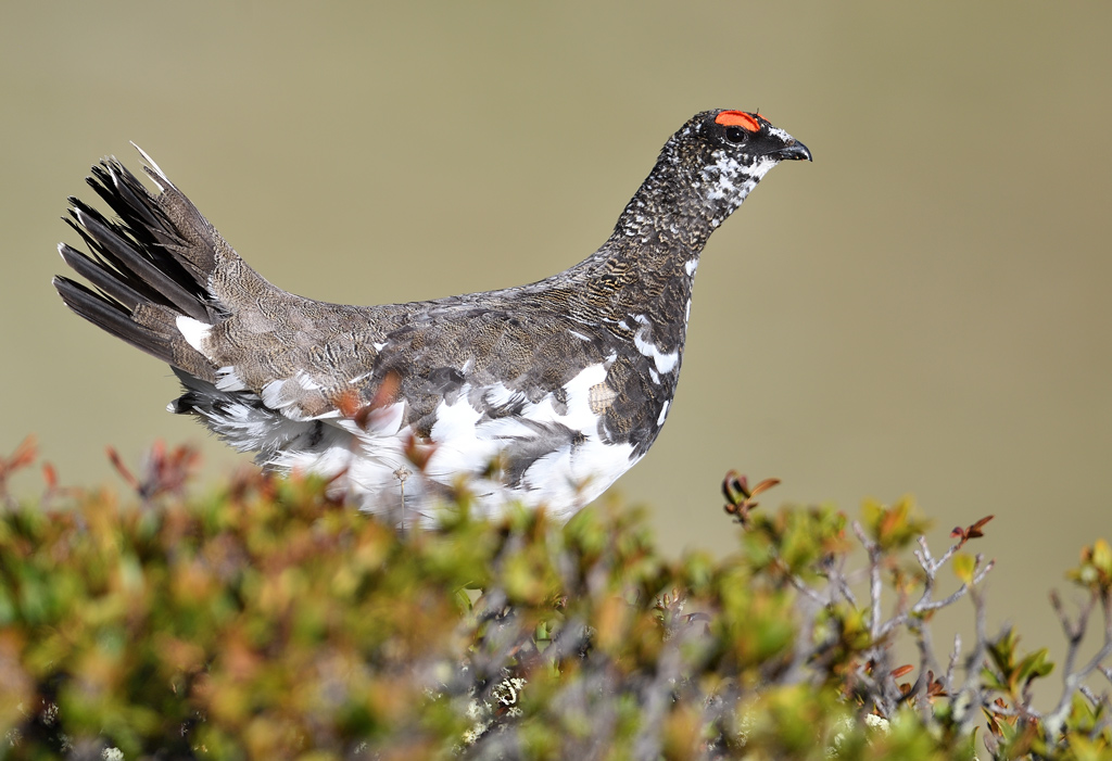 DS5_0164.jpg