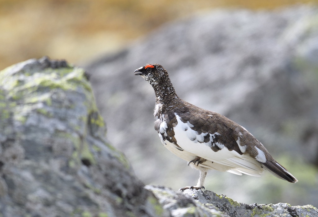DS5_0336.jpg