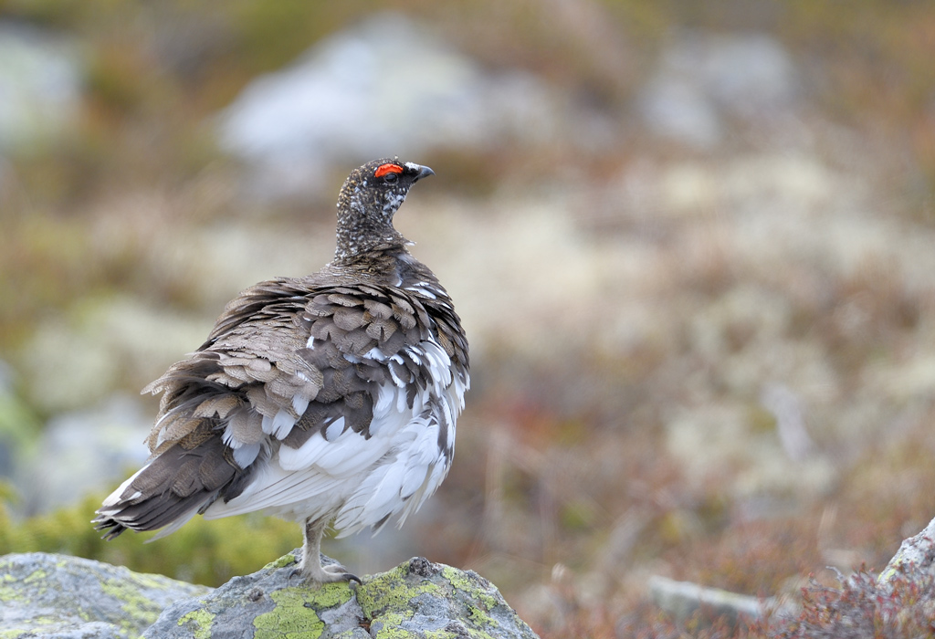 DS5_0396.jpg