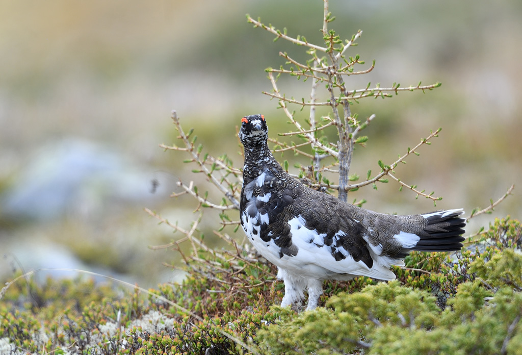 DS5_0425.jpg