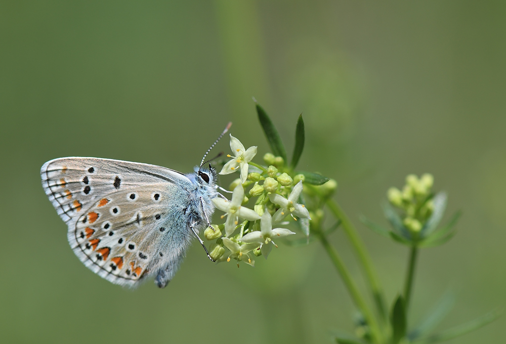 DS5_0786.jpg