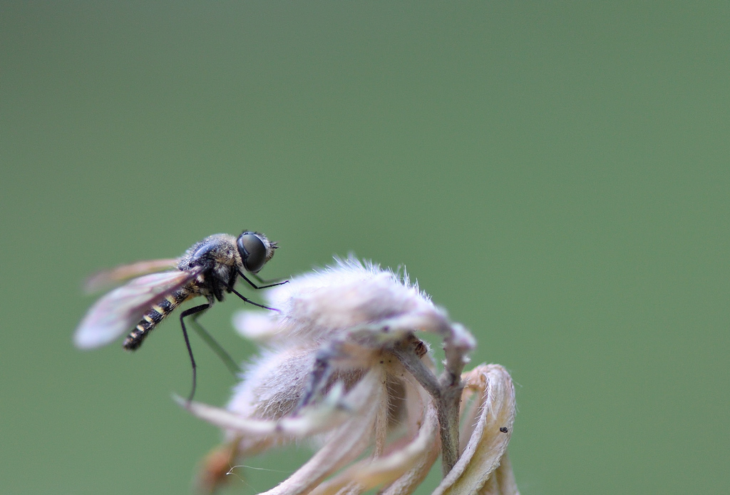 DS5_1209.jpg