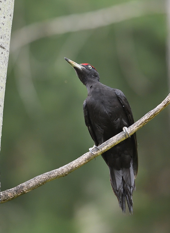 DS5_9084.jpg