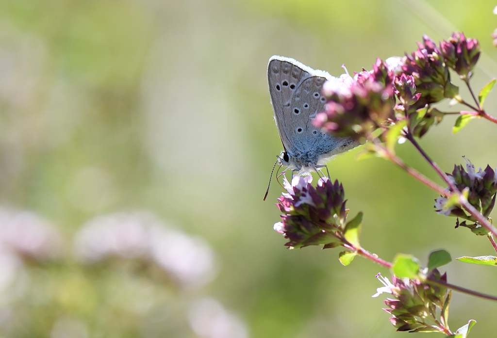 DS5_1342.jpg