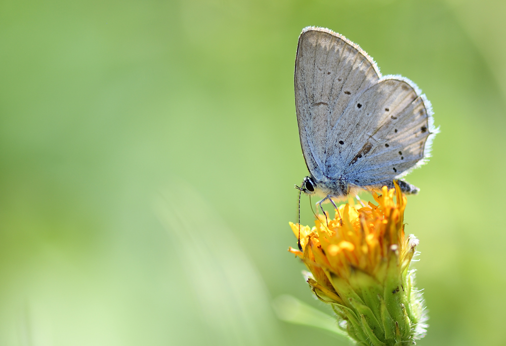 DS5_1409.jpg