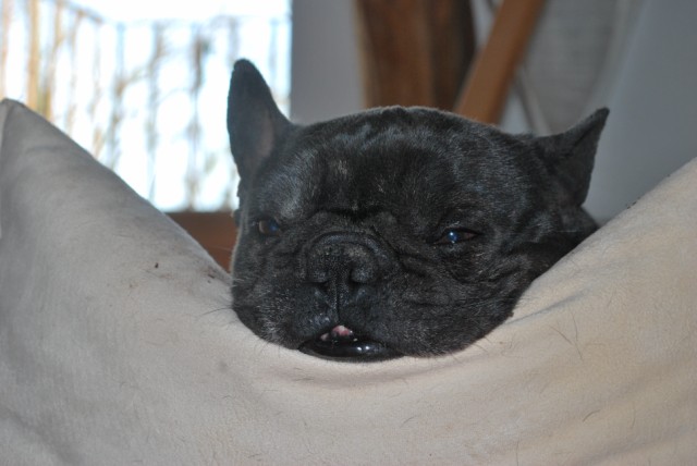 DSC_0493 [640x480].JPG