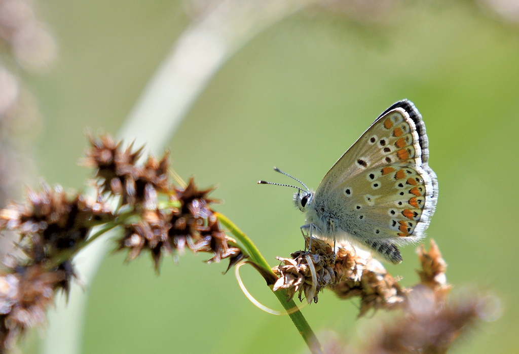 DSC_5313.jpg