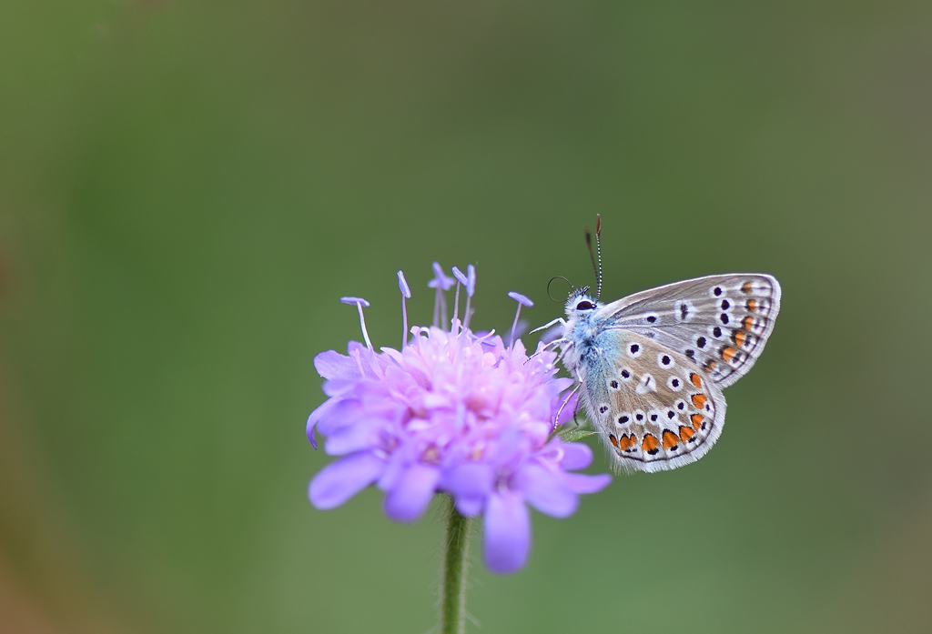 DS5_1573.jpg