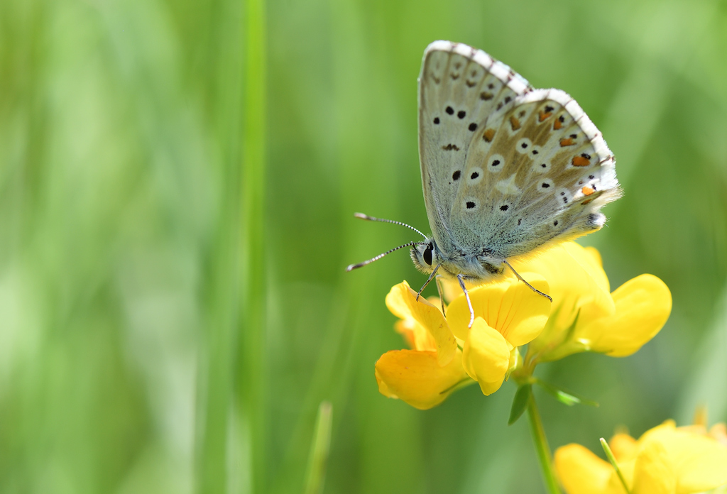 DS5_1078.jpg