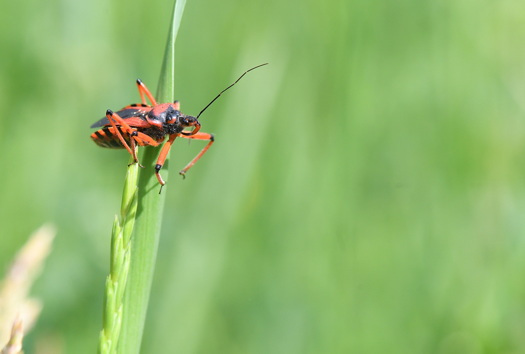DS5_0659.jpg