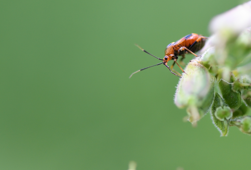 DS5_1010.jpg