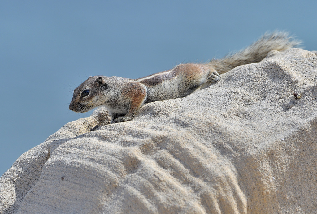 DSC_5475.jpg
