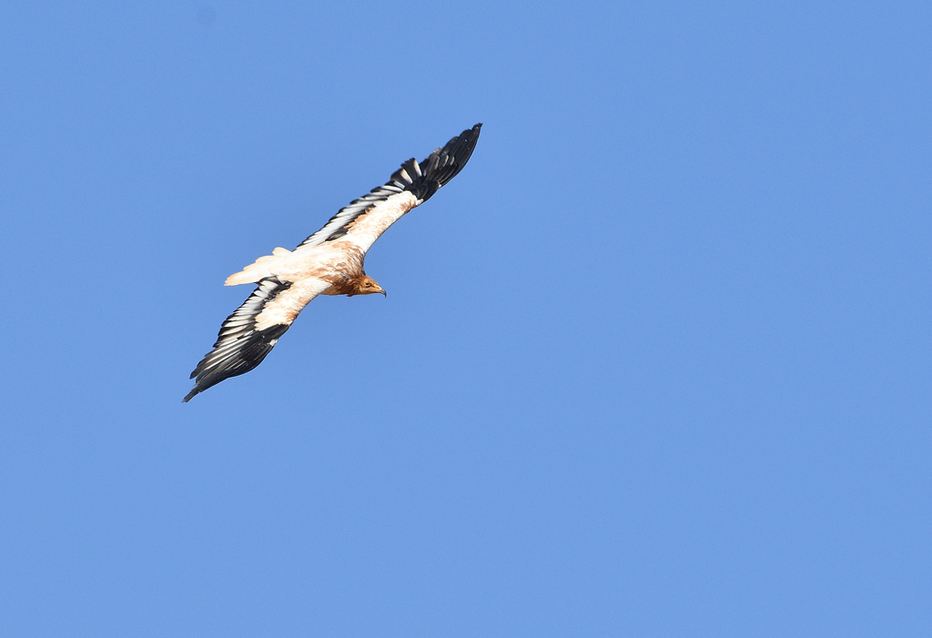 DSC_5824.jpg