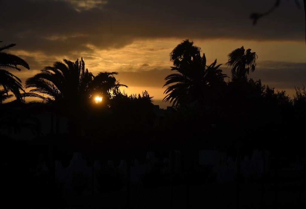 DS5_1475.jpg
