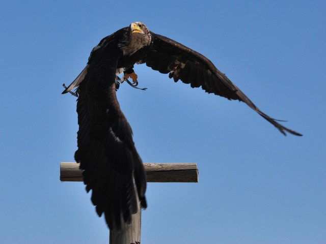 CSC_0215 [640x480].JPG