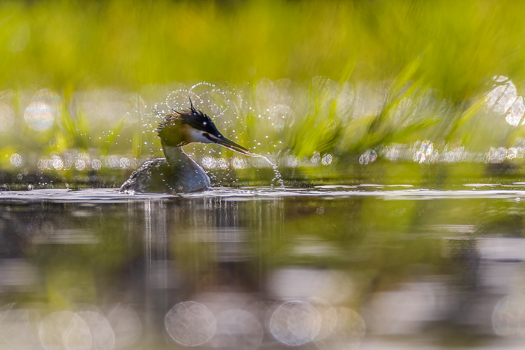 -3S8A8476_DxO1.jpg