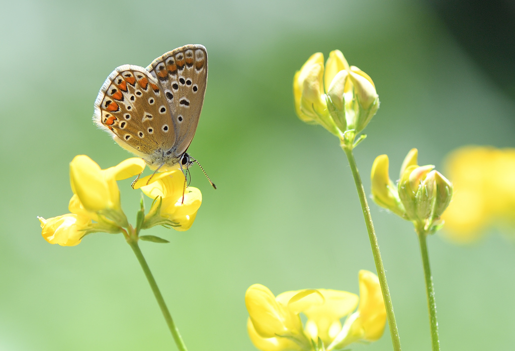 DS5_1399.jpg
