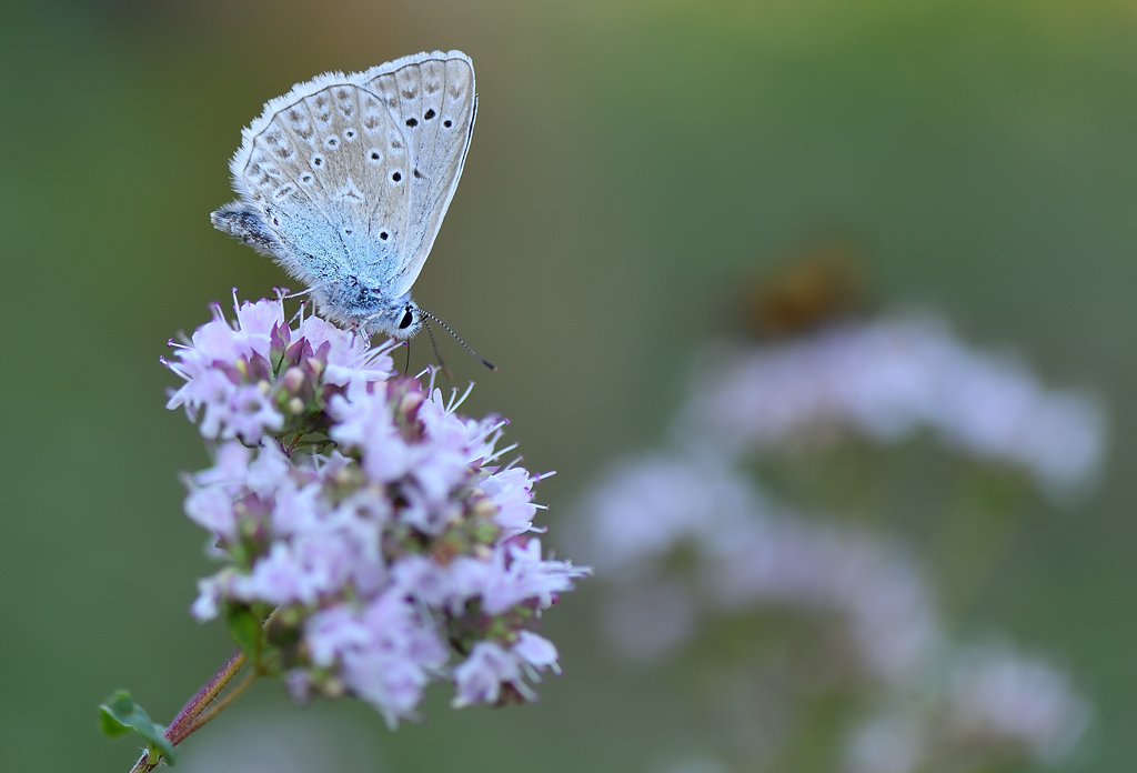 DS5_1404.jpg