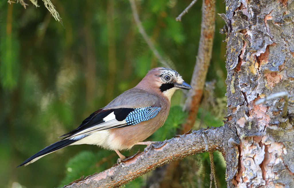 DS5_1676.jpg