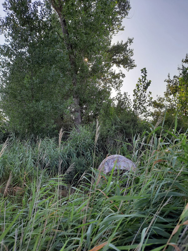 20220725_083243 - Copie.jpg