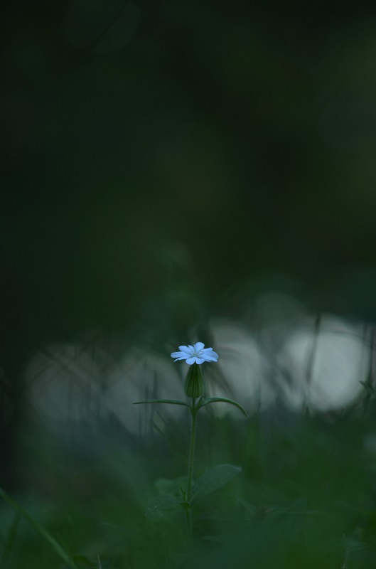 59.JPG
