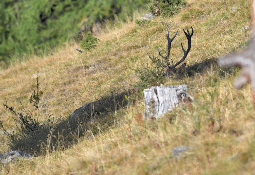 DS5_2420.jpg