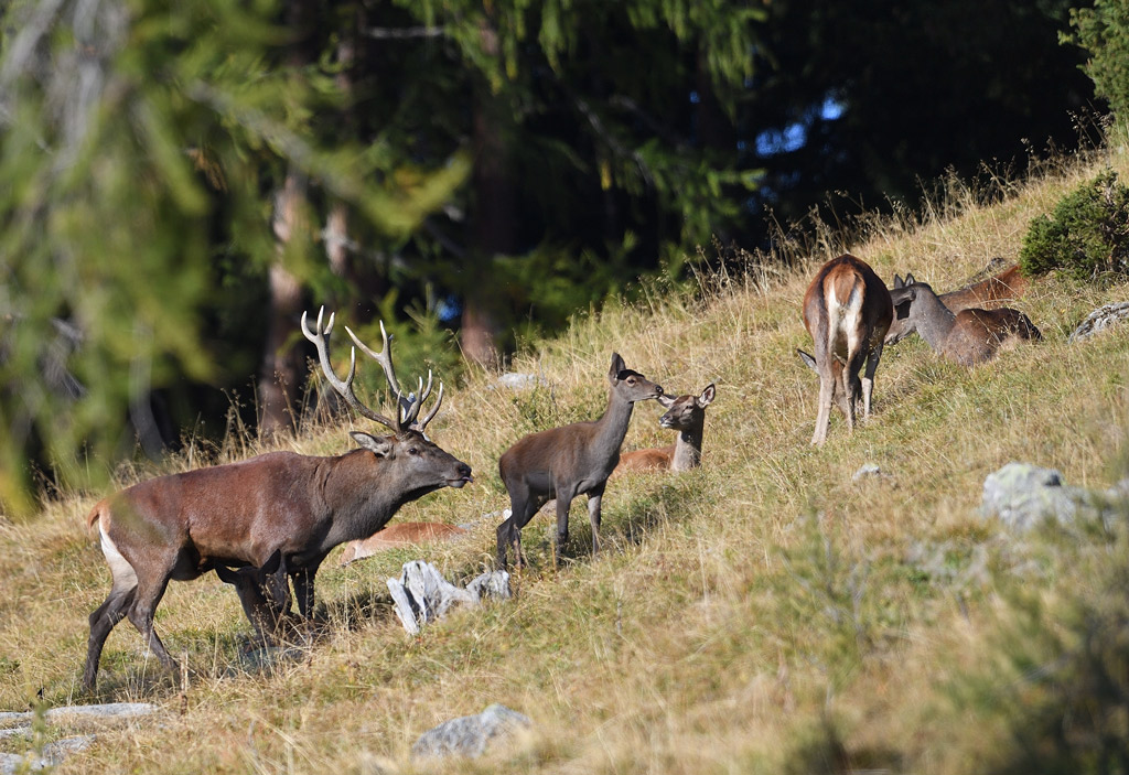 DS5_2426.jpg