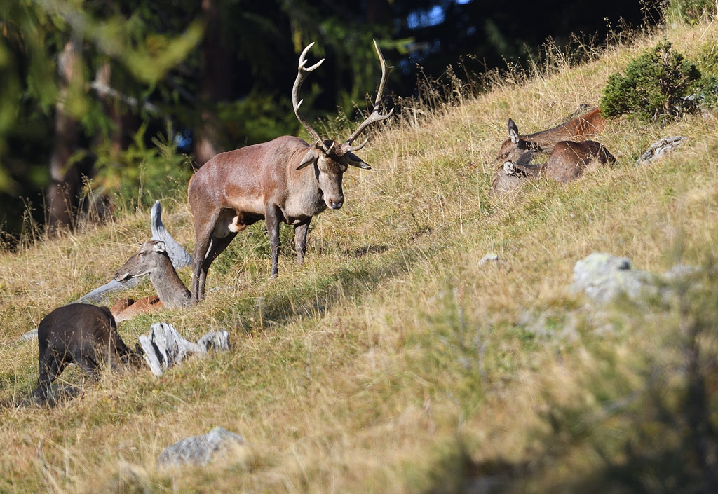 DS5_2430.jpg