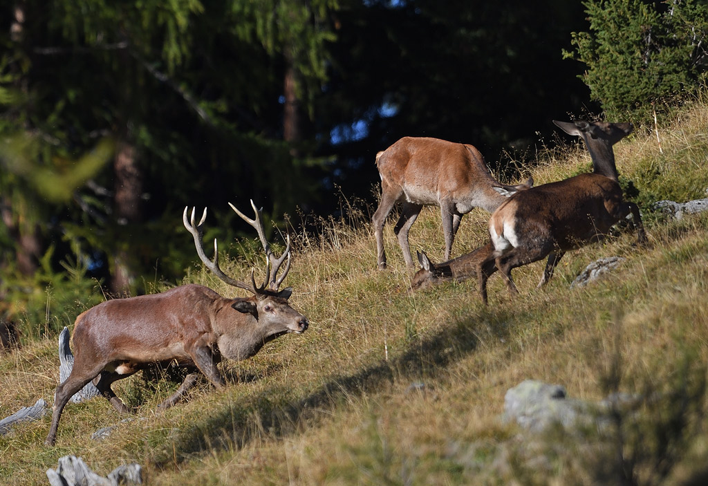 DS5_2451.jpg