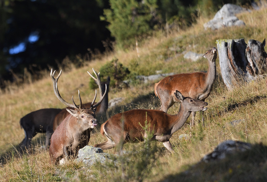 DS5_2511.jpg