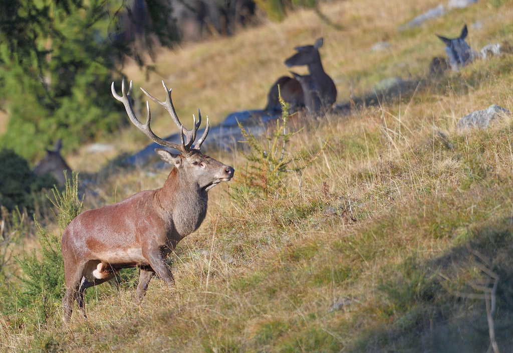 DS5_2529.jpg