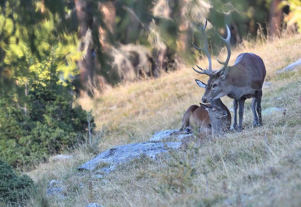 DS5_2546.jpg