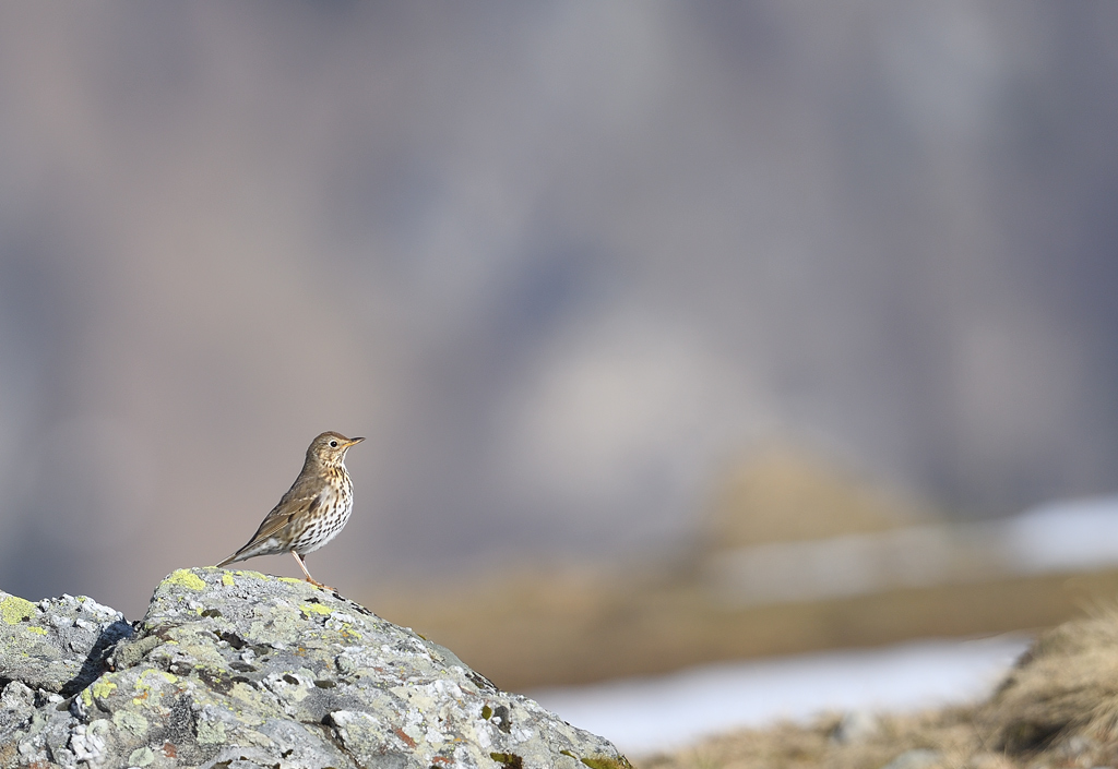 DS5_7898.jpg