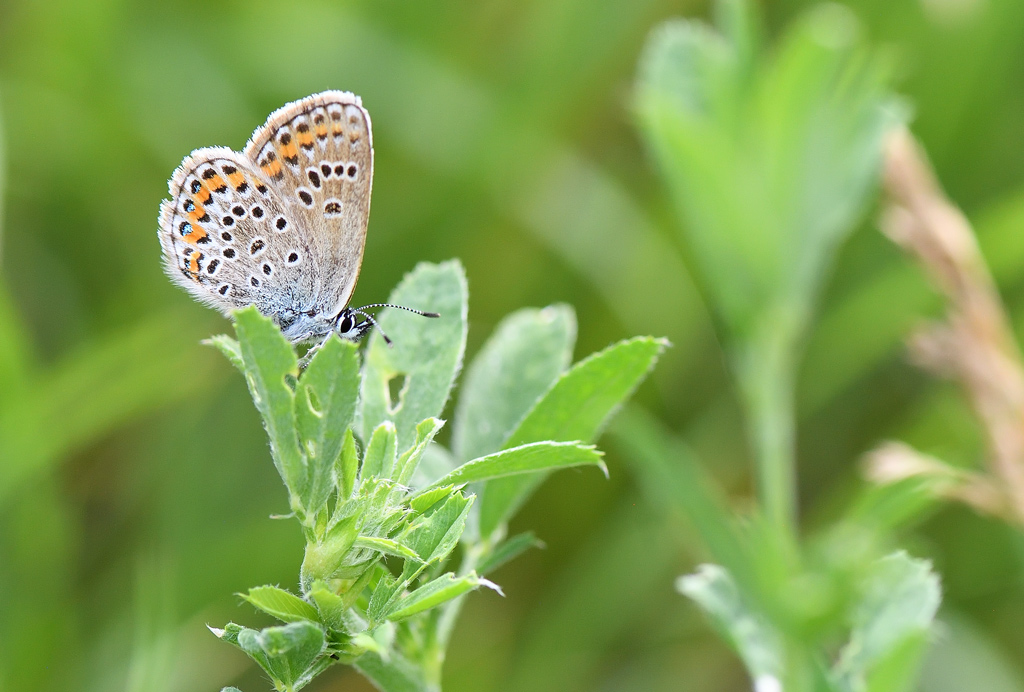 DS5_0649.jpg