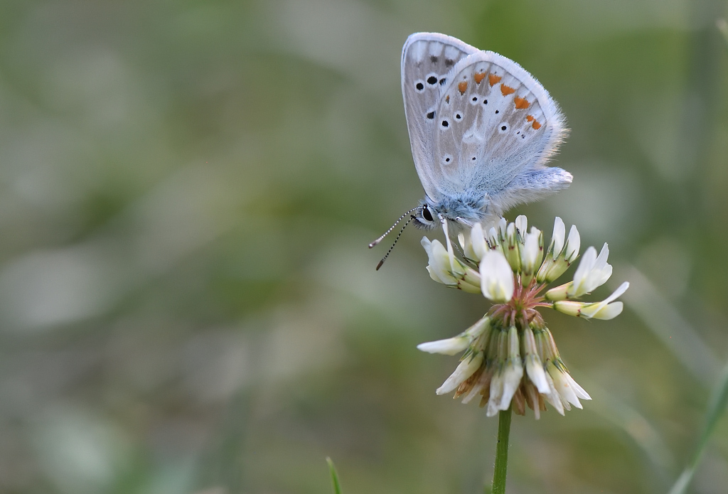 DS5_0698.jpg