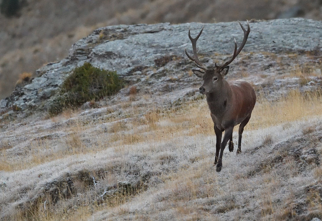 DS5_2611.jpg