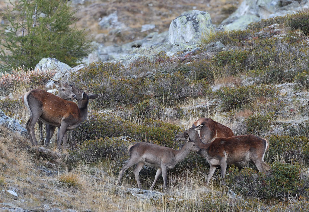 DS5_2622.jpg