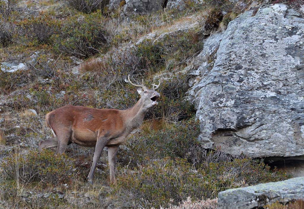 DS5_2634.jpg
